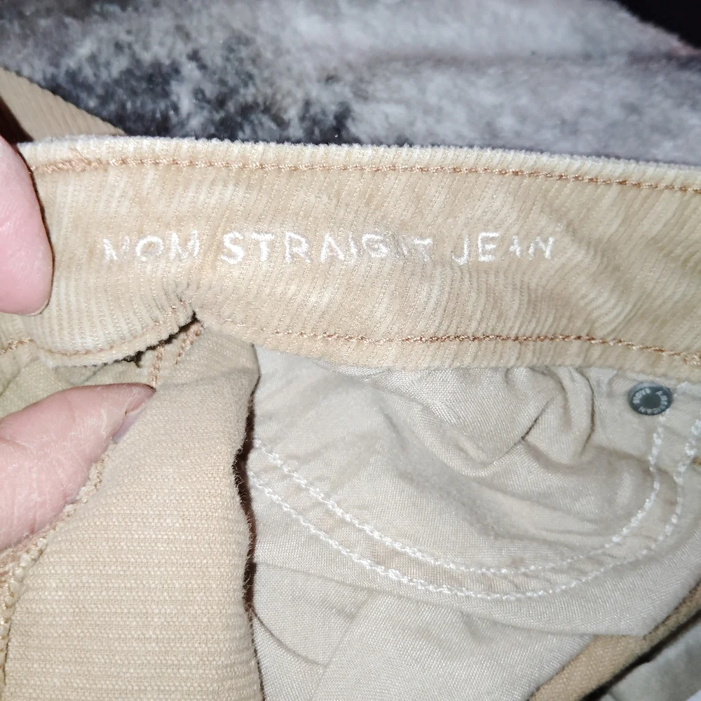American Eagle Outfitters Straight Leg Corduroy Jeans in Camel